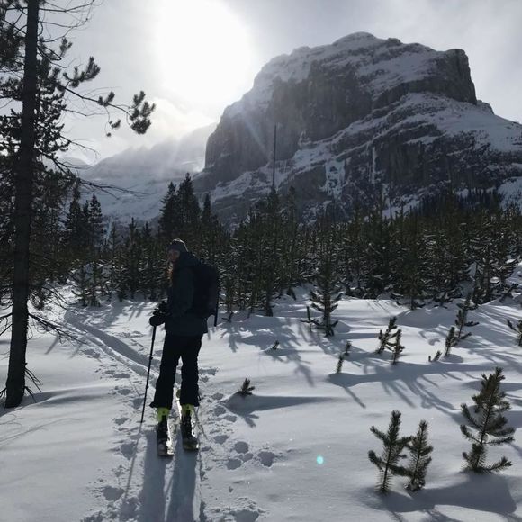 Meet your Posher, Mackenze - Picture 1 of 1